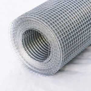 Galvanized Iron Wire Mesh