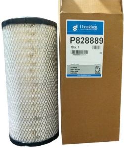 Donaldson Car Air Filter