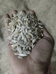 Muskmelon Seeds