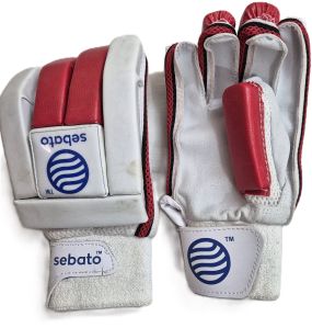 Batting Gloves