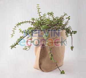 Jute Plant Grow Bag