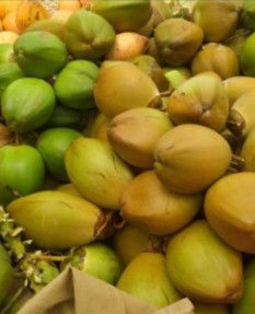 Fresh Tender Coconut