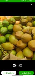 Green Tender Coconut