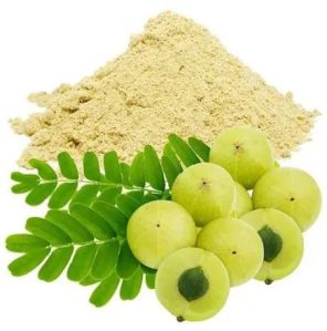 amla extract powder