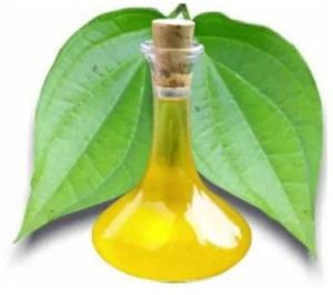 Betel Leaf Oil