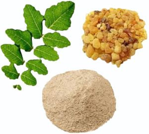 Boswellia Extract Powder