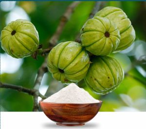 Garcinia Cambogia Powder