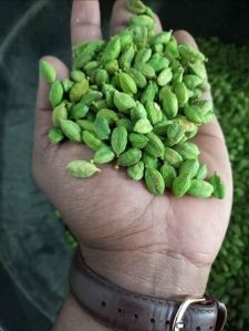 Green Cardamom