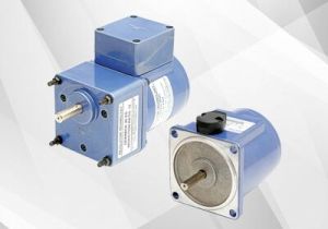 25 watt gear motor