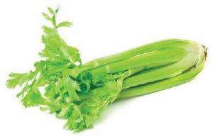 Celery