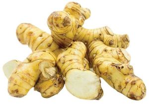 Galangal