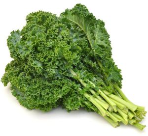 Fresh Kale Vegetable