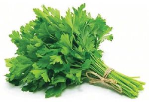 curled parsley leaves