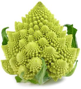 Romanesco Broccoli