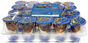 WORLD CUP BISCUITS IN CHOCO & MILK CREAM