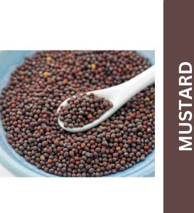 Mustard Seeds 100 gm