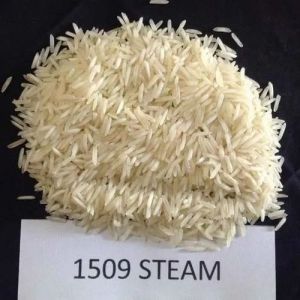 1509 Basmati Rice