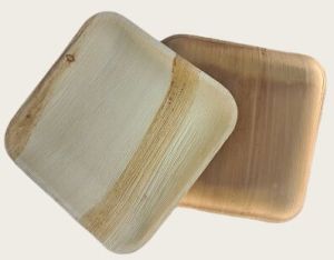 square Areca plate