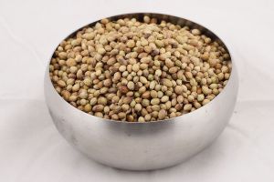 Coriander Seeds