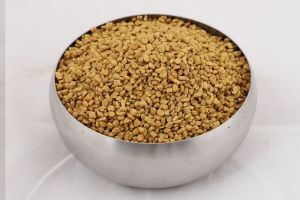 Fenugreek Seeds