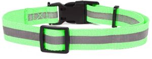 Reflective Collar for Puppies and Kittens (neon Colour)