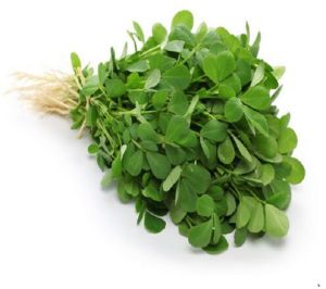 Fenugreek