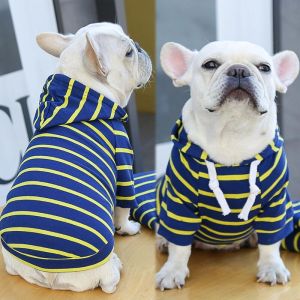 dog summer clothes