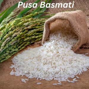 Pusa Basmati Rice