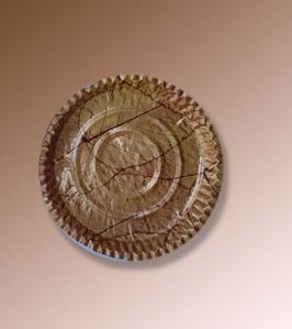 12 Inch Sal Patta Disposable Paper Plate