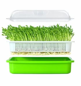 SPROUTING TRAY