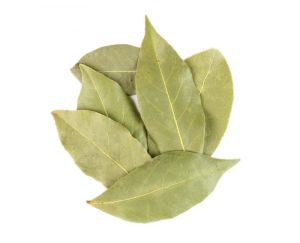 Bay Leaf