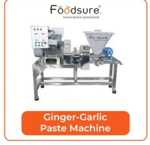 Ginger Garlic Paste Machine