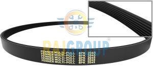 Fenner Multi-Pull Poly V Belt