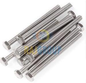 Stainless Steel Hex Bolt