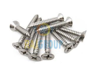 Stainless Steel Screw