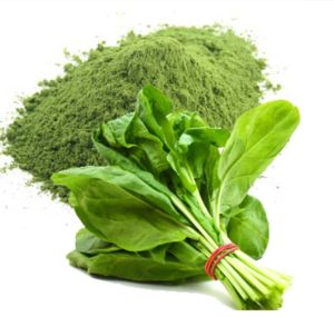 palak powder