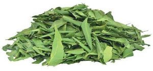 Dried Neem Leaves