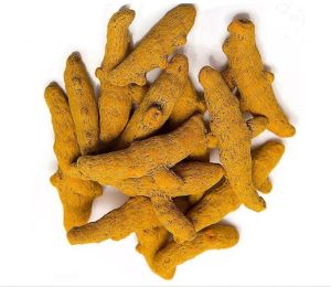 dried turmeric finger