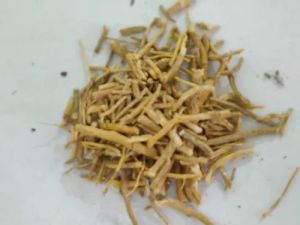 Dry Brahmi Roots