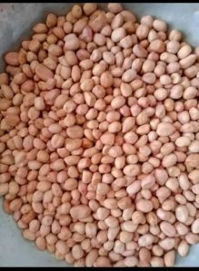 Groundnut