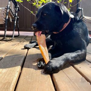 Dried Bully Sticks