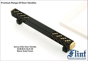 Sunny Side Main Door Handle