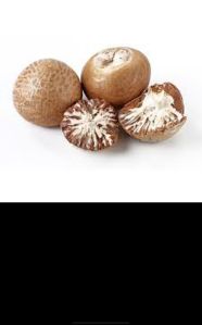 areca nut