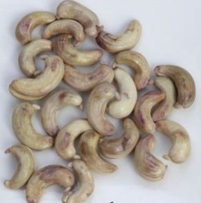 TENDER CASHEW NUT