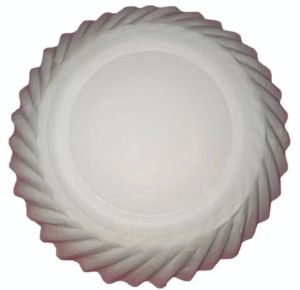 10 Inch Disposable Paper Plate