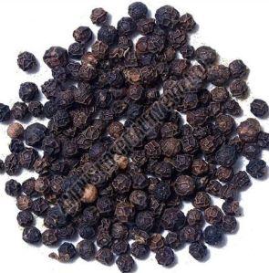 Black Pepper Seeds