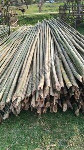 Deluxe Bamboo Pole