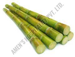 fresh sugarcane