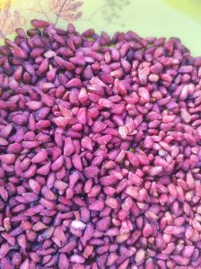 Dry Pomegranate seed