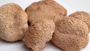 Sun Dried Lion's Mane Mushroom